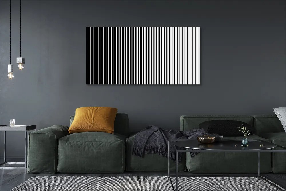 Obraz na płótnie Gradientowy Wzór Zebry