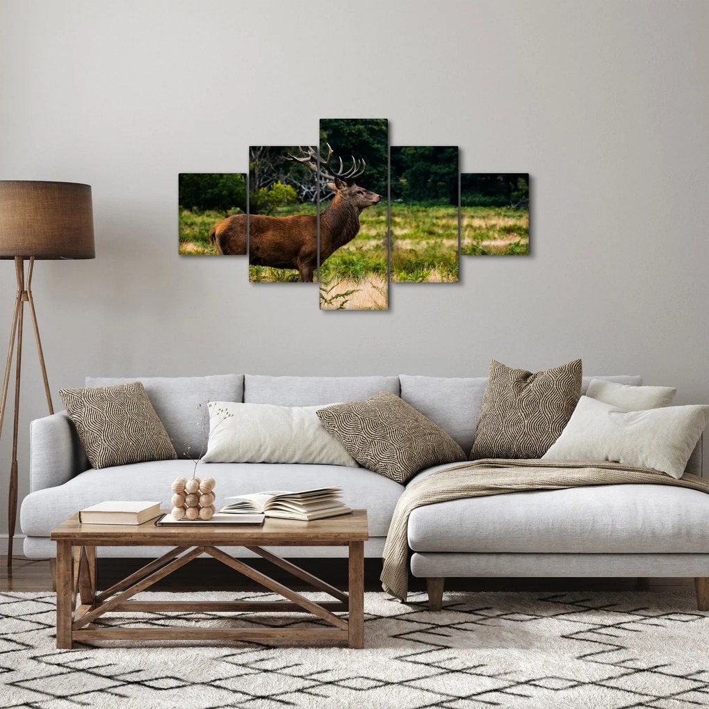 Obraz jelenia (125x70 cm)