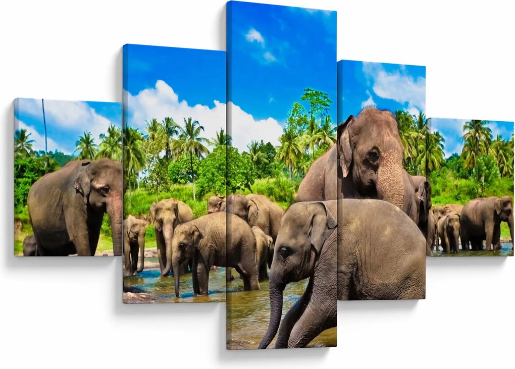 Obraz - Słonie, Sri Lanka (125x70 cm)