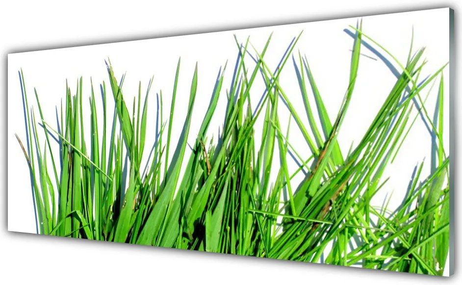 Panel Kuchenny Naturalny Motyw Trawy