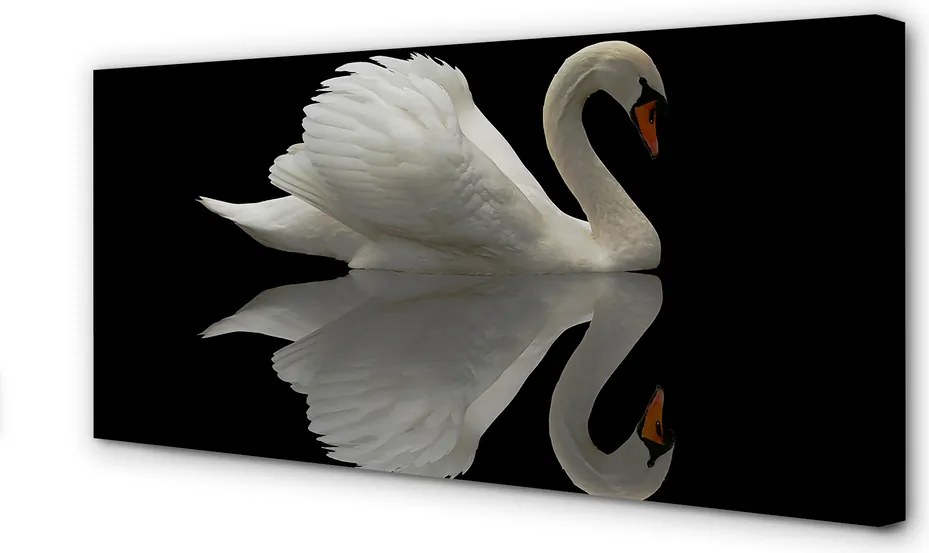 Obraz na płótnie Łabędź w Nocnej Scenerii