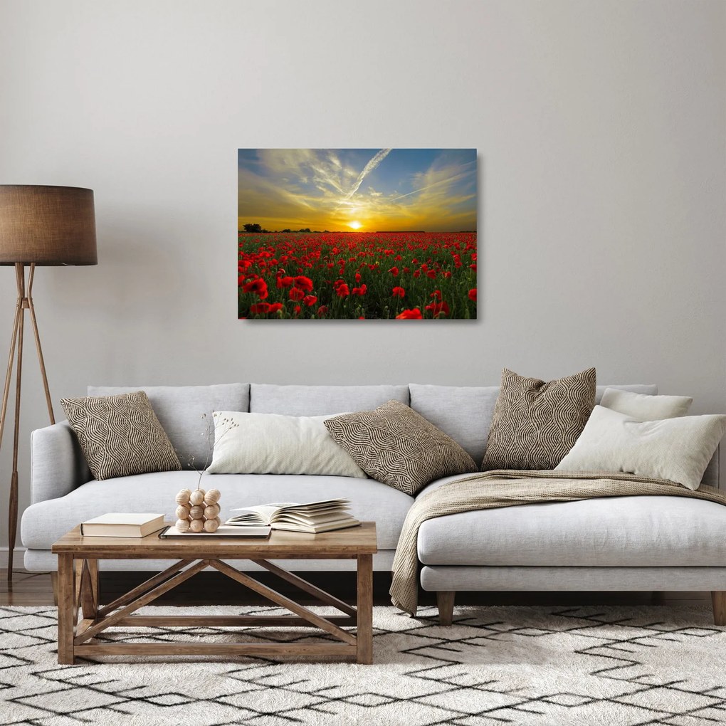 Obraz na szkle - pole maków (70x50 cm)