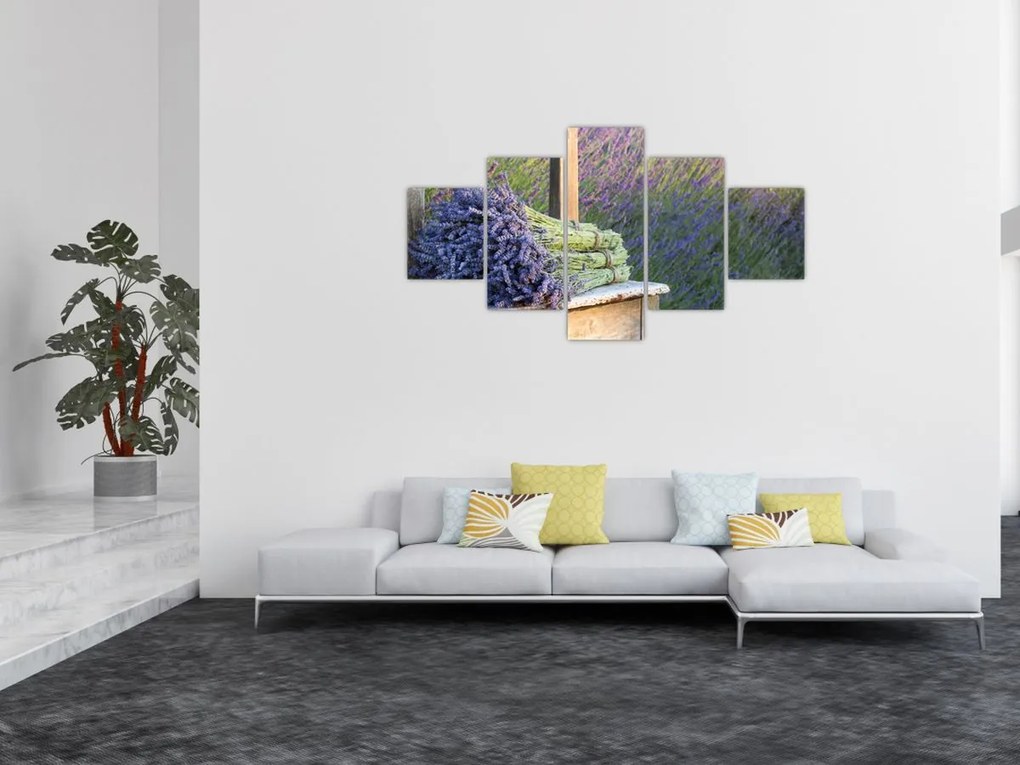 Obraz - Pęczki lawendy (125x70 cm)