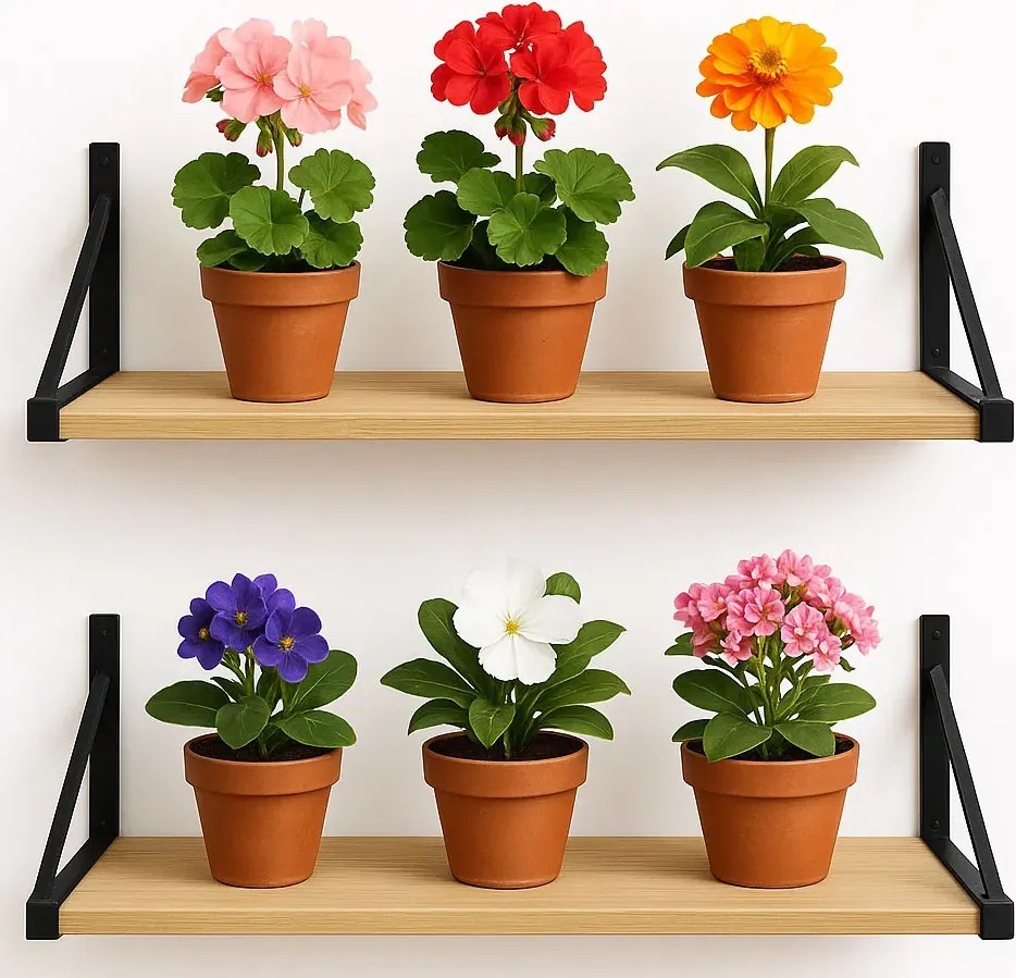 2 półki ścienne na kwiaty dąb sonoma 80 cm C9-E36