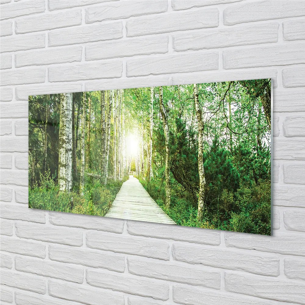 Szklany Panel Droga przez Las Brzozowy