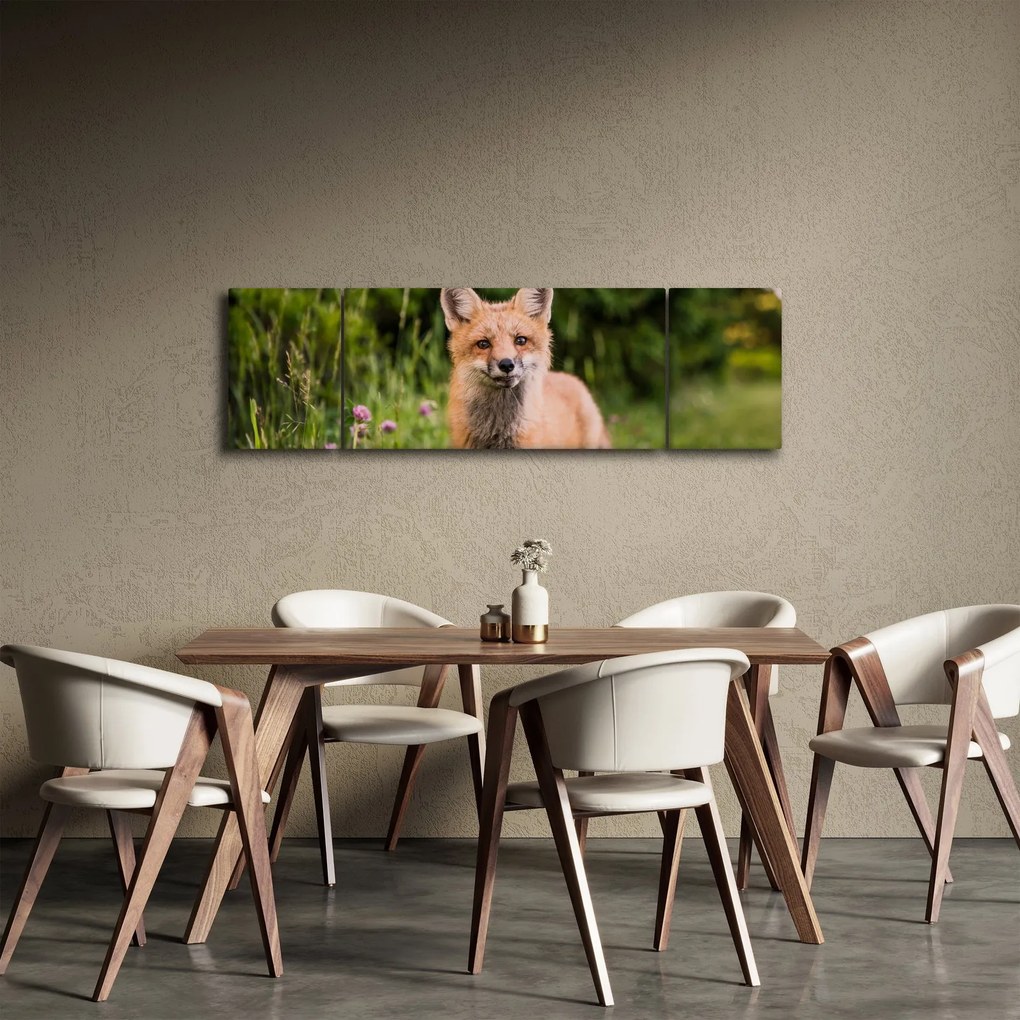 Obraz lisa (170x50 cm)