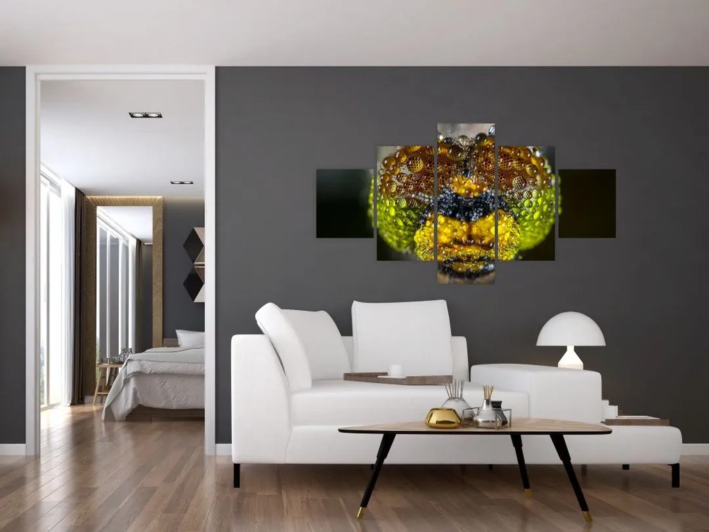 Szczegółowy obraz oczu owadów (125x70 cm)