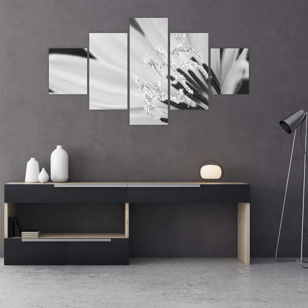 Obraz - Czarno-biały kwiat (125x70 cm)