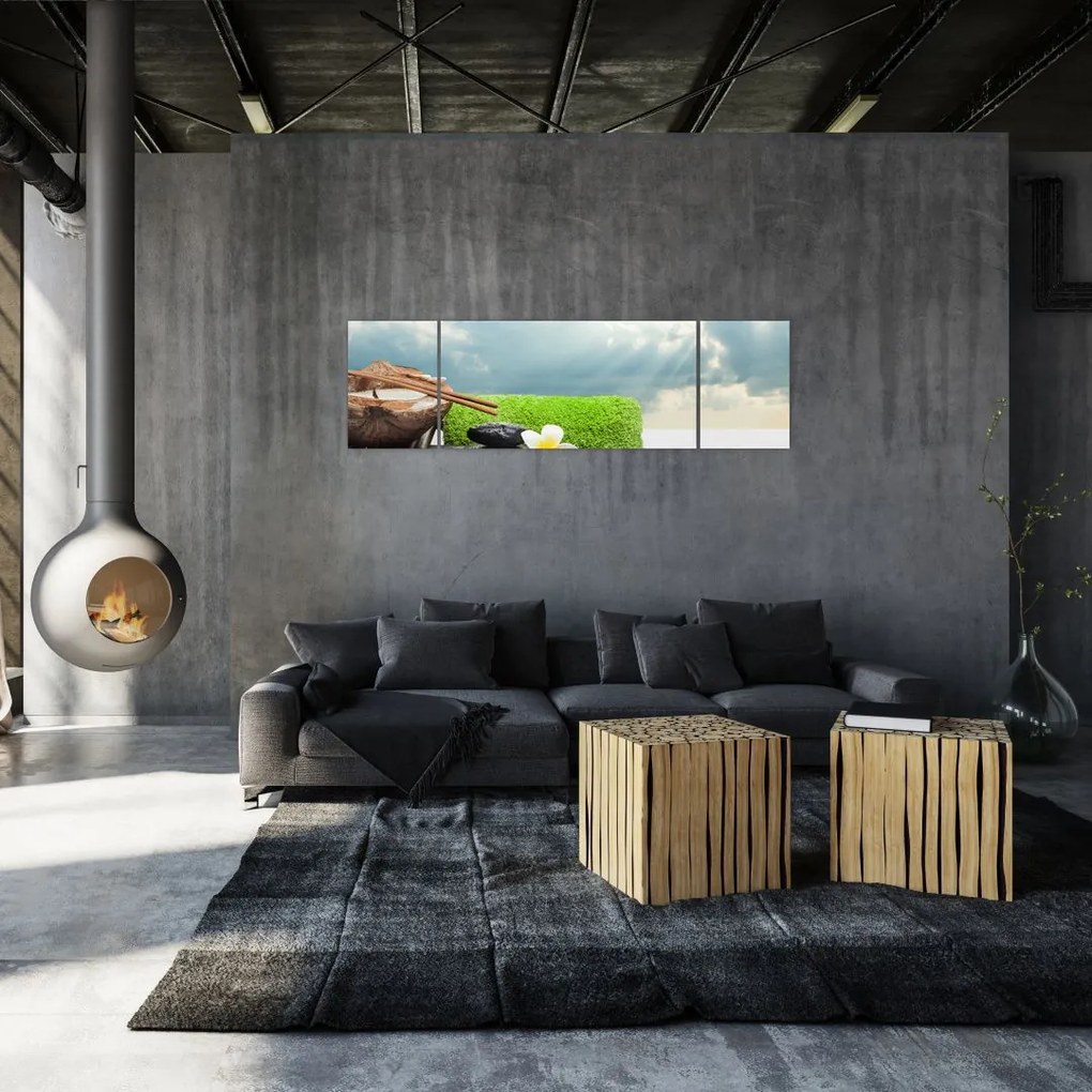 Obraz - Spa and relakx (170x50 cm)