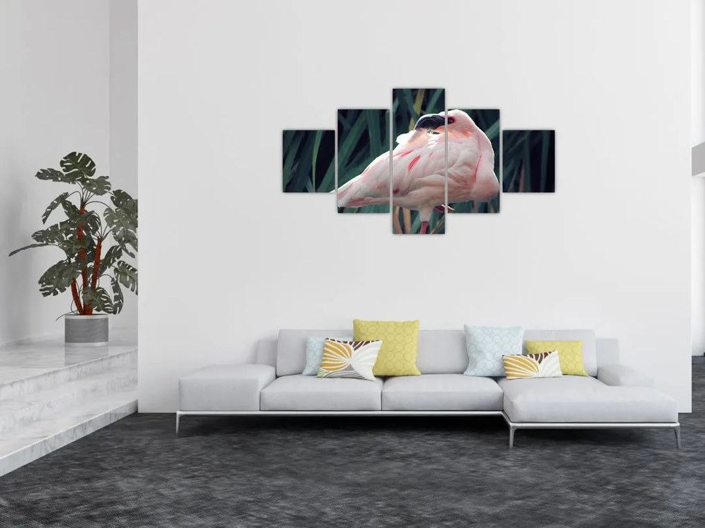 Obraz - Flaming (125x70 cm)