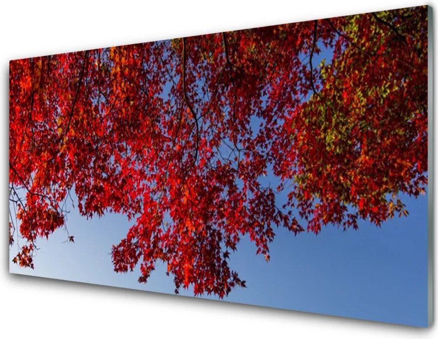 Panel Szklany do Kuchni Rozłożysta Korona Drzewa