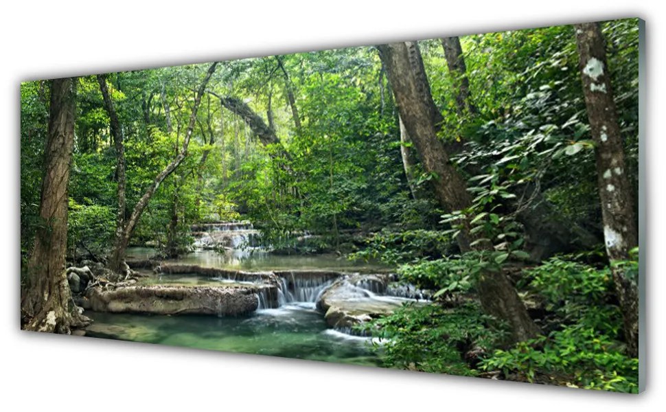 Panel Szklany Leśny Las Natura Przyroda