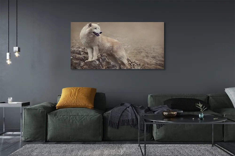 Obraz drukowany na płótnie Wilk na Górskim Szlaku
