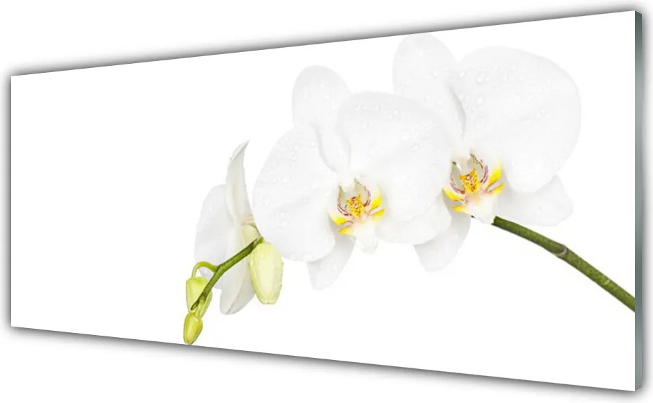 Panel Szklany Letni Ogród Botaniczny