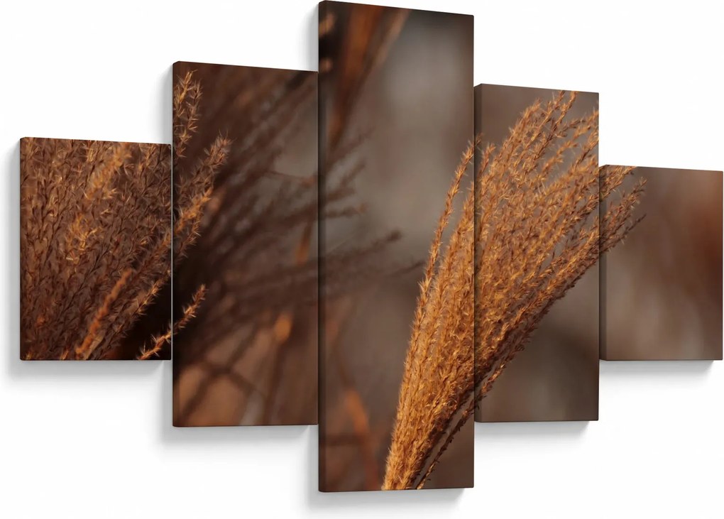 Obraz - Kortaderia (125x70 cm)