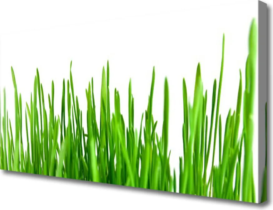 Fotoobraz na płótnie Polna Trawa o Złotej Godzinie