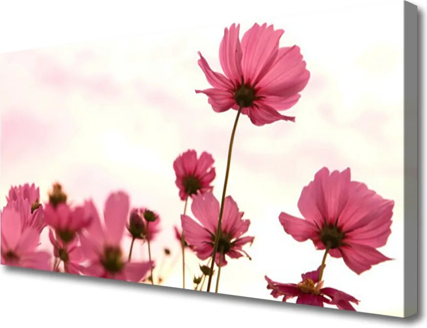 Obraz canvas Pastelowy Akcent Roślinny