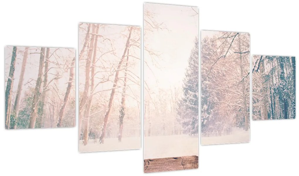 Obraz - Widok na las (125x70 cm)