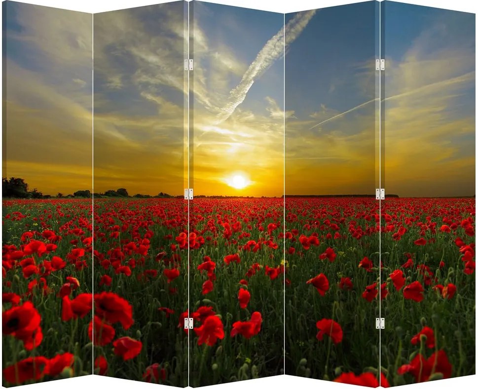 Parawan - Pole maków (210x170 cm)