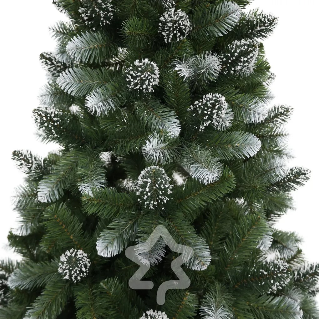 Sosna ośnieżona 150 cm