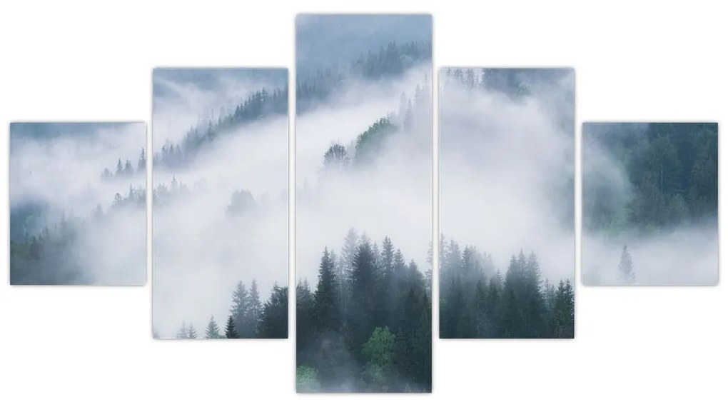 Obraz - Drzewa we mgle (125x70 cm)