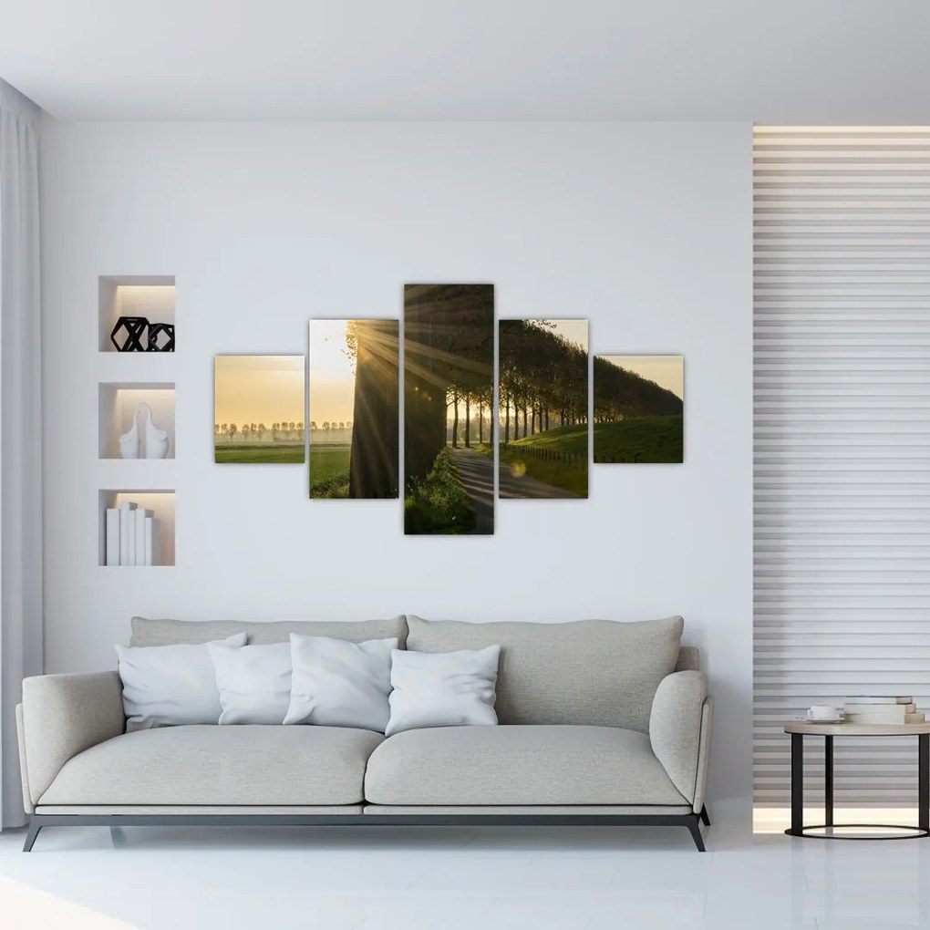 Obraz alei (125x70 cm)