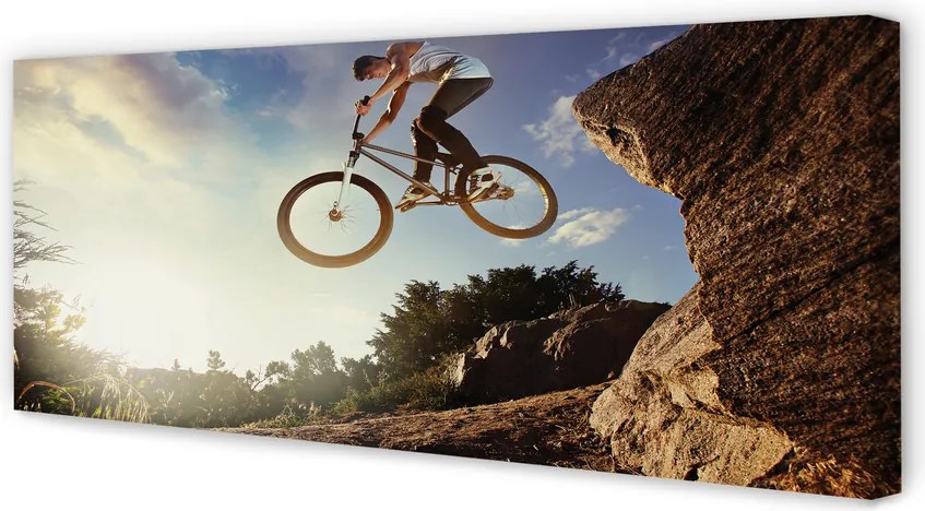 Duży obraz na płótnie Rower w Górach pod Niebem