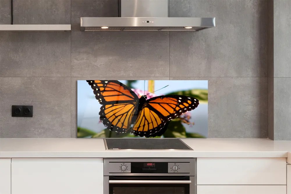 Panel nad Blat Kuchenny Portret Kolorowego Motyla