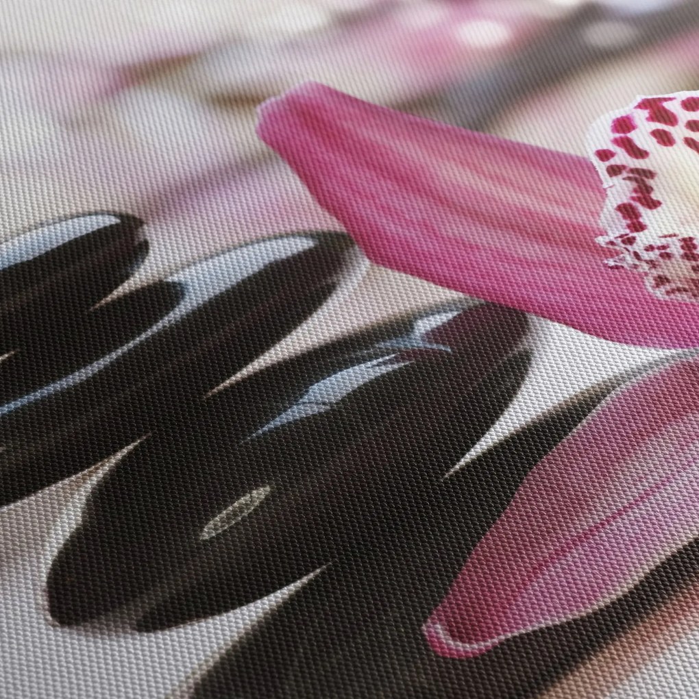 Obraz kamieni do masażu i storczyków (170x50 cm)