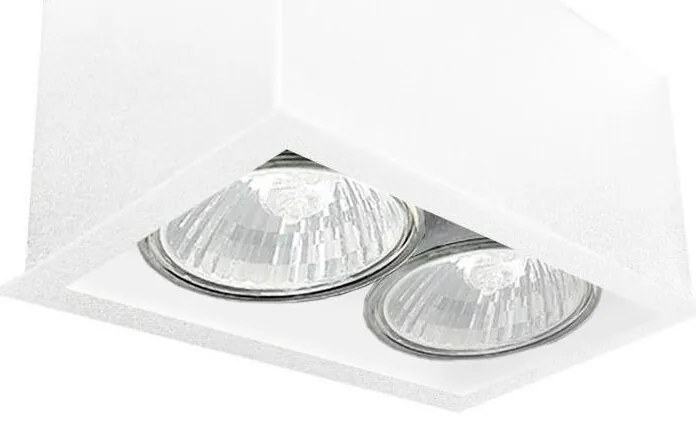 Brosline 1081 - Oprawa punktowa CAGE 2xGU10/10W/230V biała