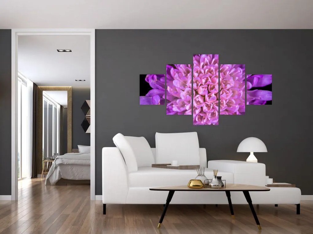 Szczegółowy obraz kwiatu (125x70 cm)