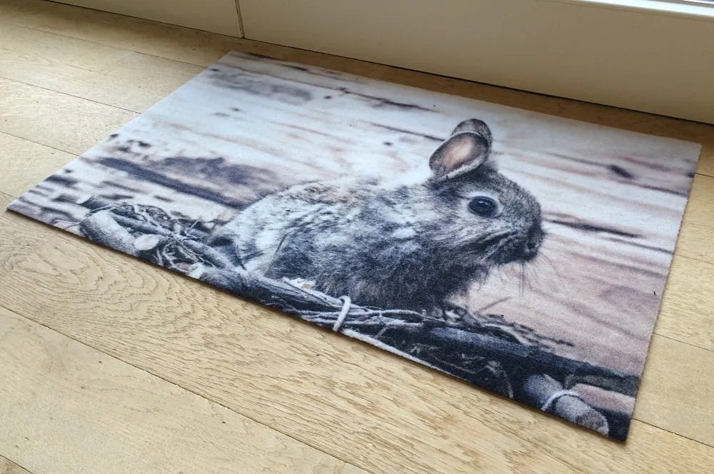 Wycieraczka Deco Star Myszoskoczek 50 cm x 80 cm