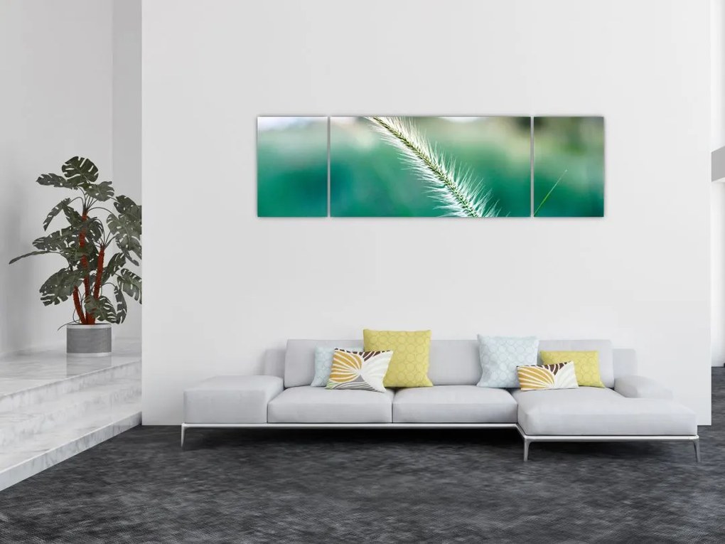 Obraz źdźbła trawy (170x50 cm)