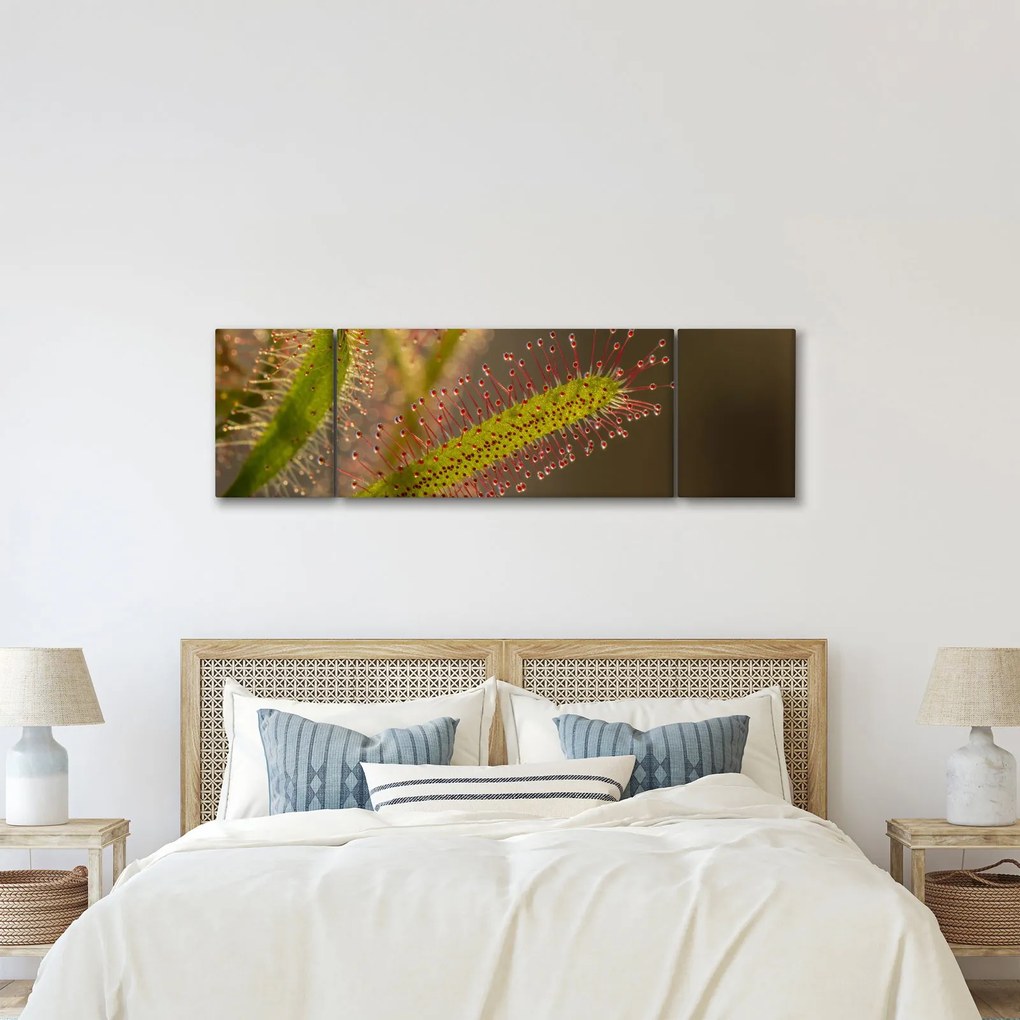 Obraz rośliny (170x50 cm)