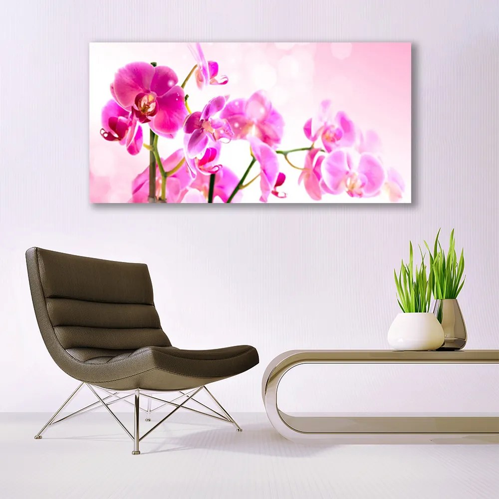 Obraz Canvas Kwiaty Roślina Natura