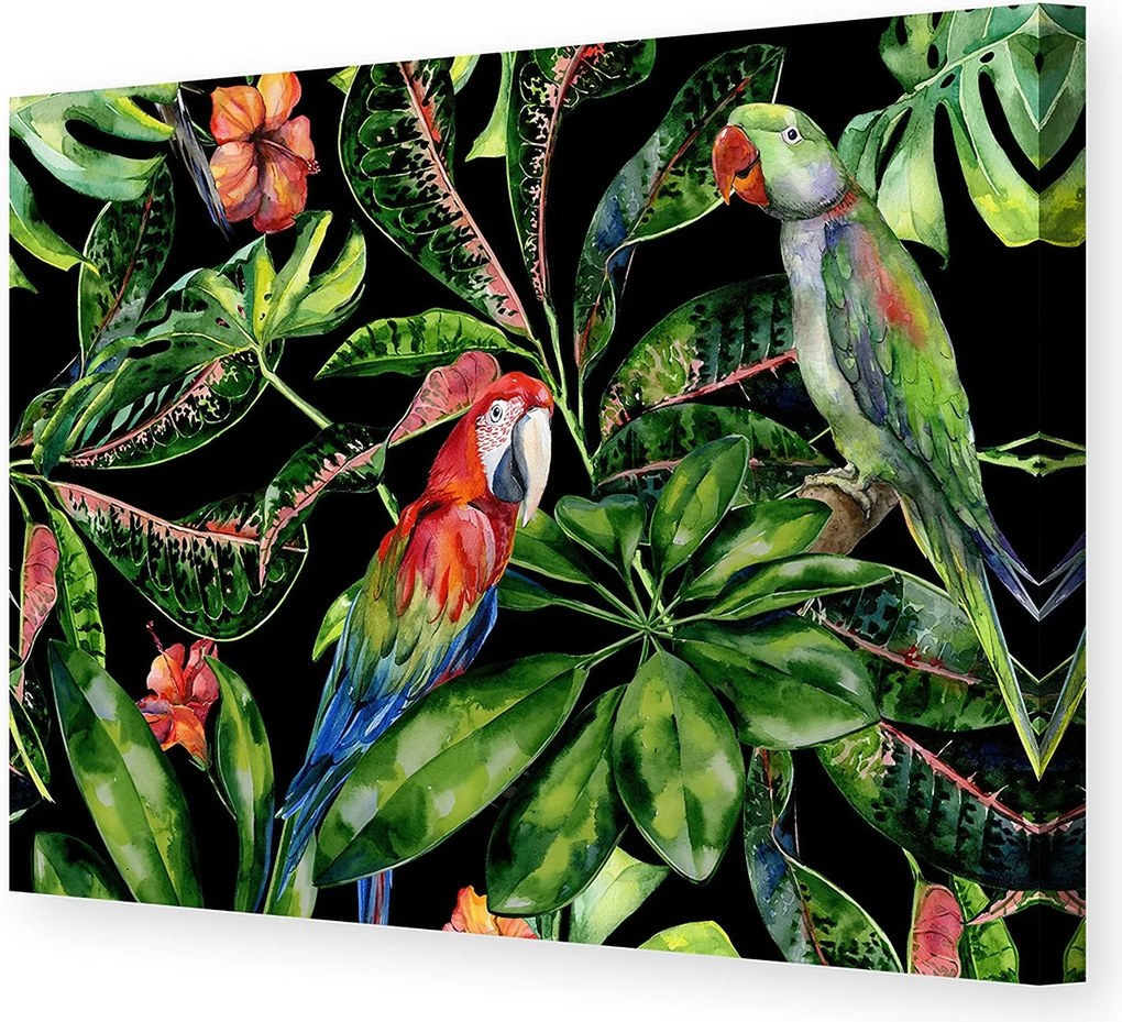Obraz na płótnie Tropical Birds