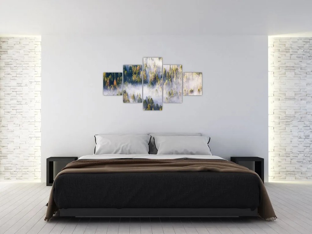 Obraz drzew we mgle (125x70 cm)