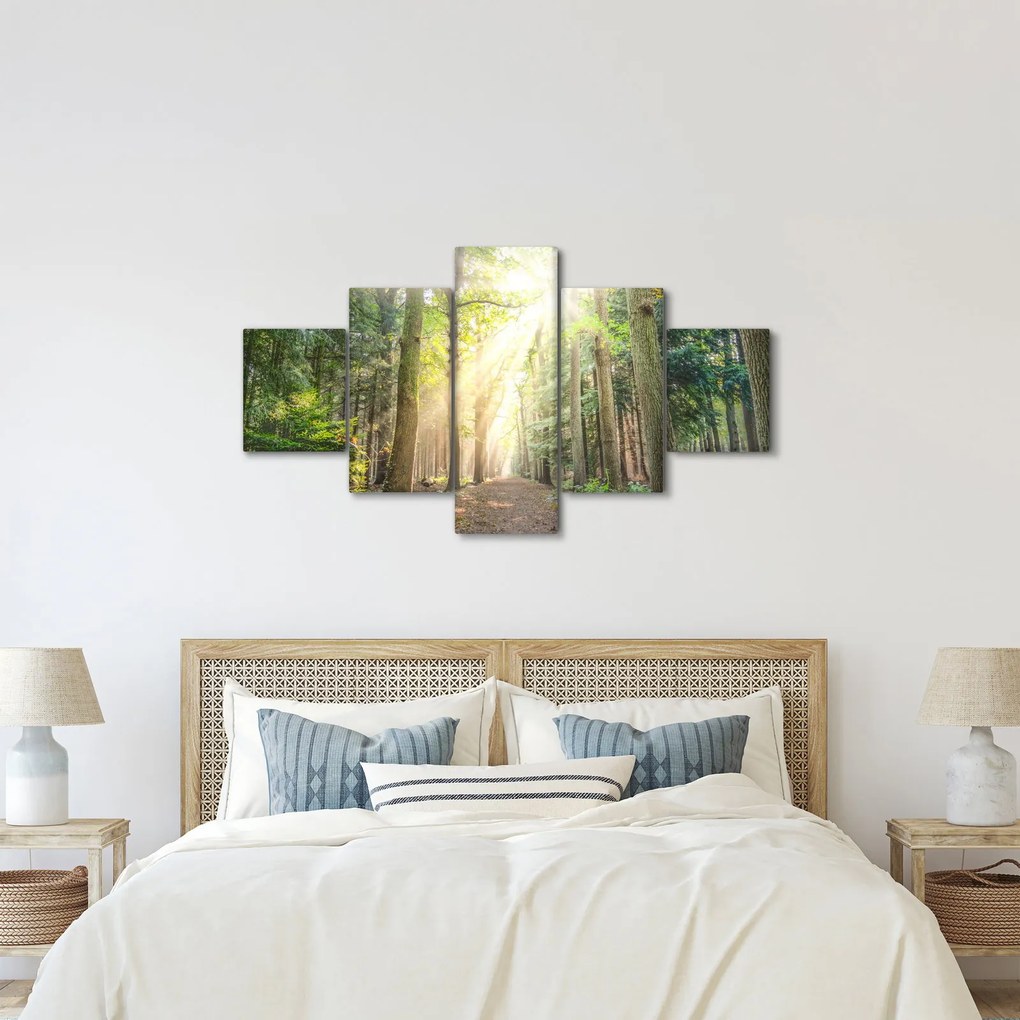 Obraz ścieżki w lesie (125x70 cm)