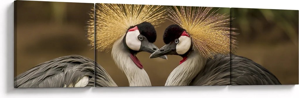 Obraz ptaków (170x50 cm)
