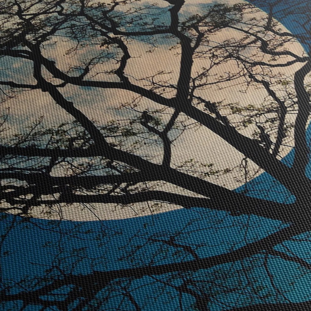 Obraz drzewa z pełnią księżyca (125x70 cm)