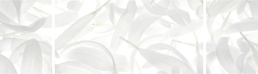 Obraz - Płatki (170x50 cm)