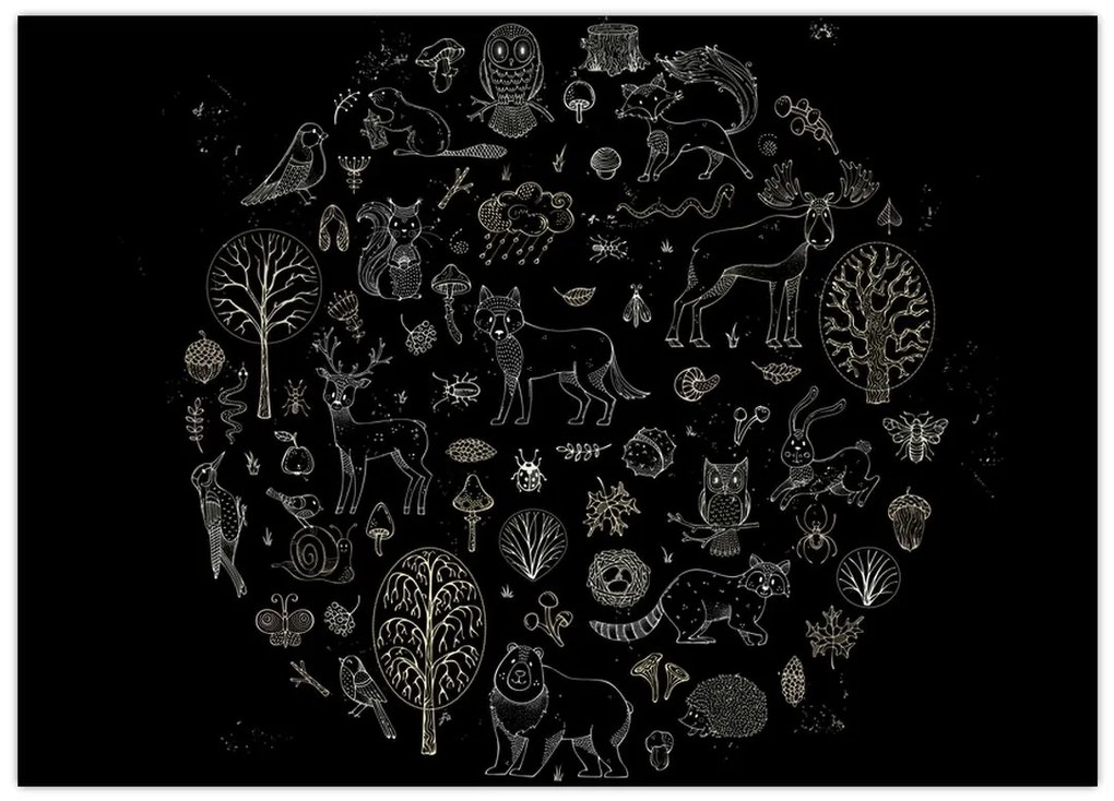 Obraz - Natura (70x50 cm)