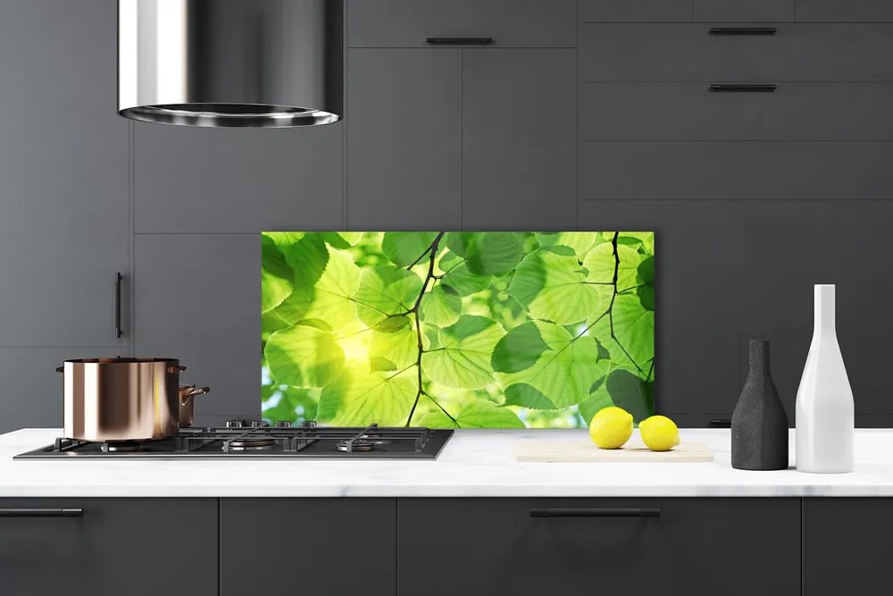 Panel Szklany Botaniczne Liście Paproci