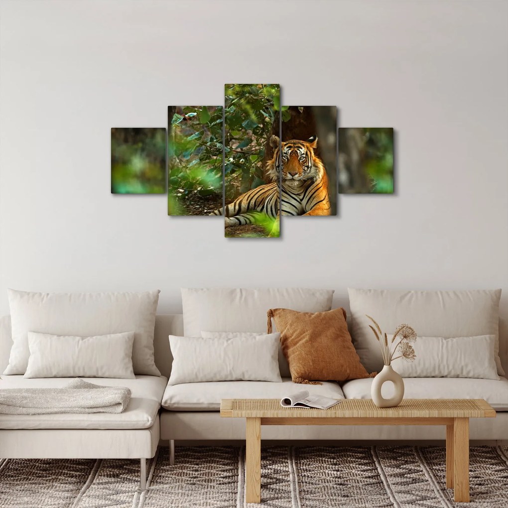 Obraz odpoczywającego tygrysa (125x70 cm)