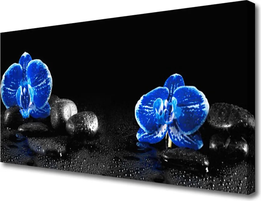 Obraz na płótnie Kwiat Lotosu na Kamieniach