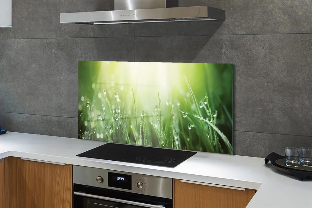 Szklany Panel Trawa w Promieniach Słońca