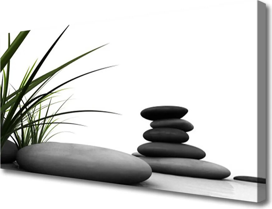 Obraz canvas Graficzny Motyw Trawy