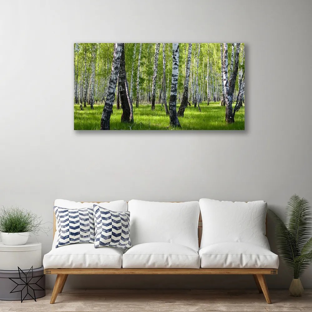 Obraz na płótnie Tajemniczy Bór Sosnowy