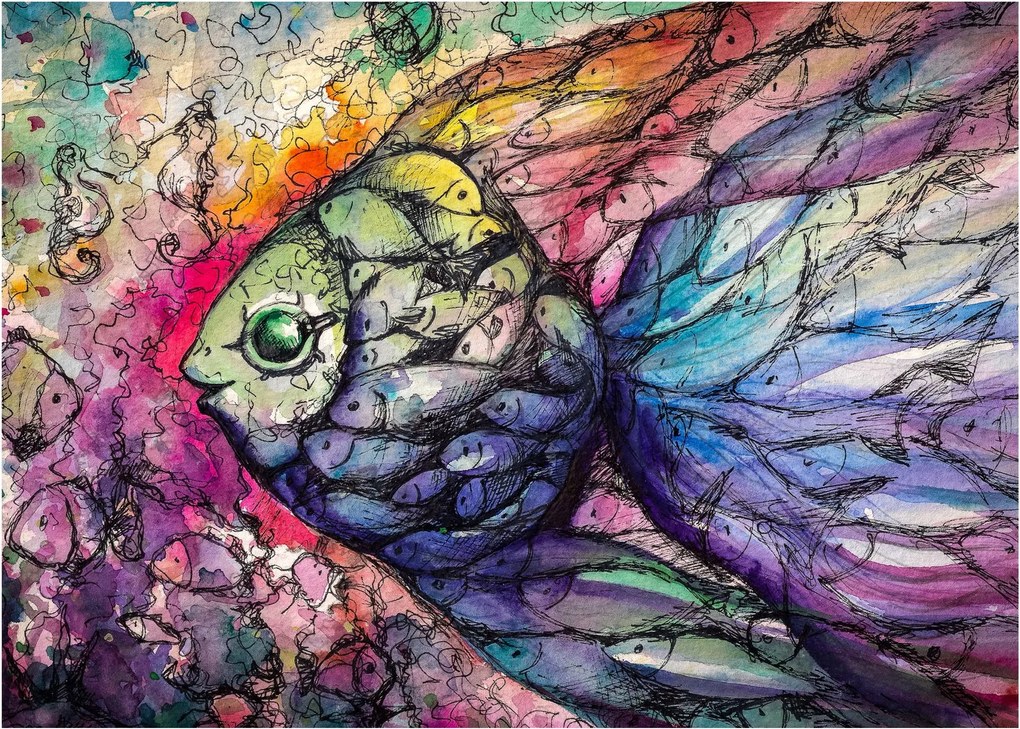 Obraz - Kolorowa rybka (70x50 cm)