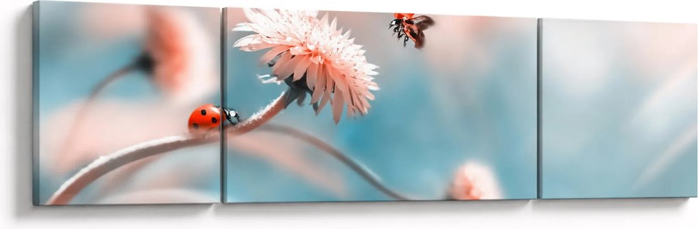 Obraz - Biedronka na kwiatku (170x50 cm)